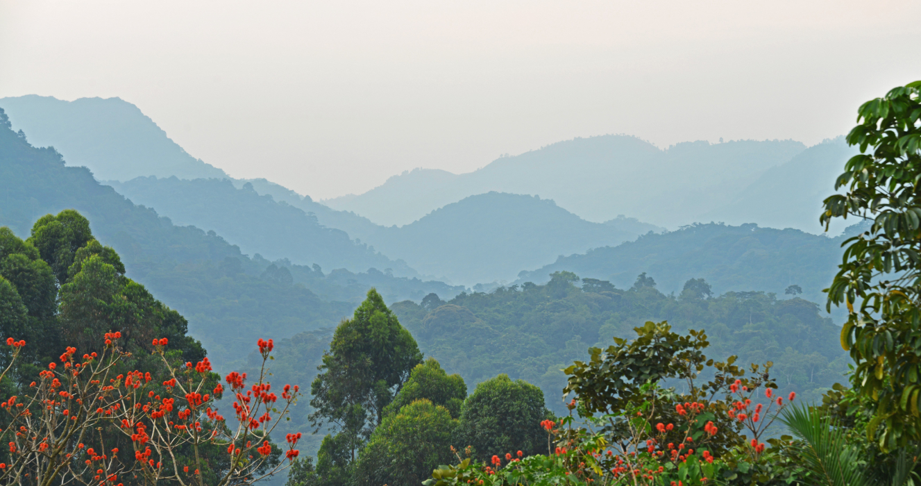 Virunga Mountains